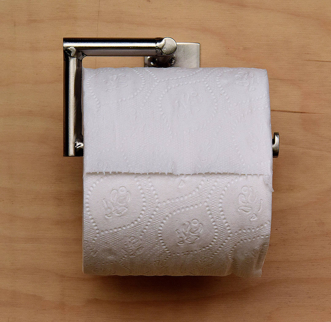 modern stainless steel toilet paper holder