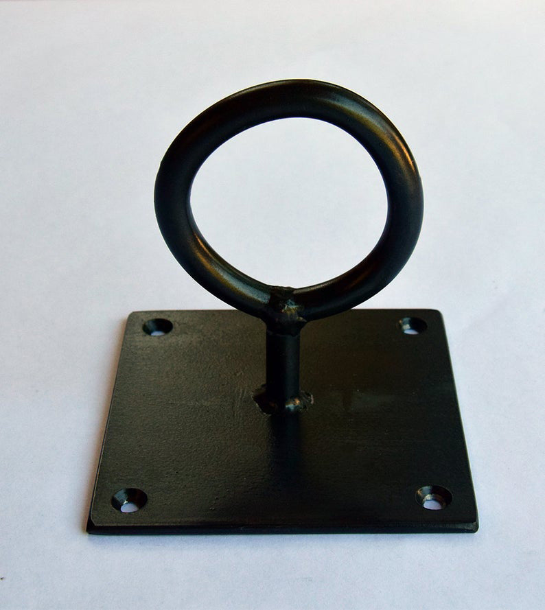 Steel Plant Hook Eyelet Style