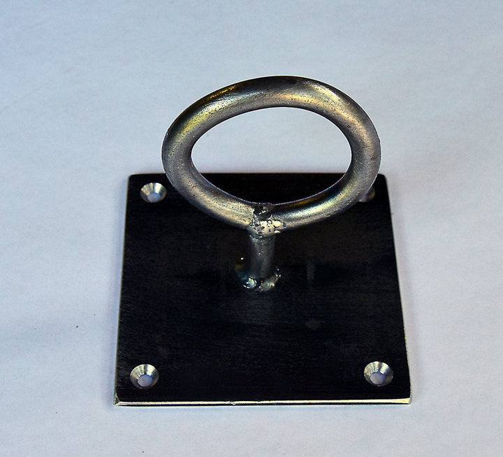 Steel Plant Hook Eyelet Style